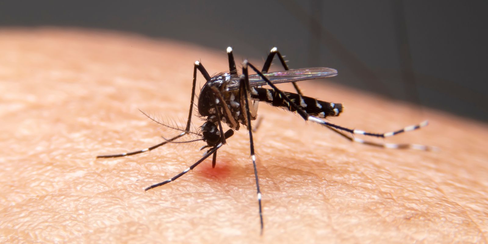 Impacto das Mudanças Climáticas no Aumento de Doenças Infecciosas no Brasil